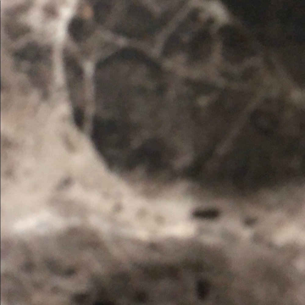 Meet your Posher, Krishna